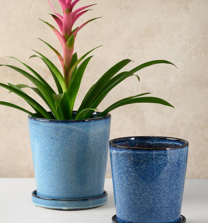 Ice Blue Ceramic Pot with Saucer