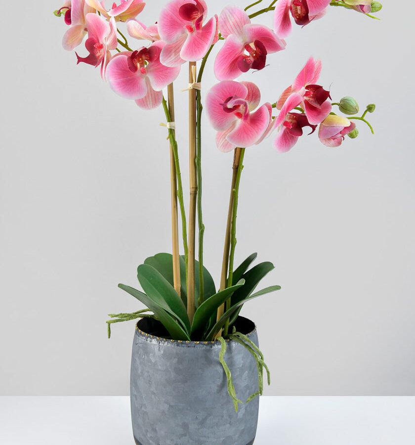 6.25in Tall Galvanized Iron Pot