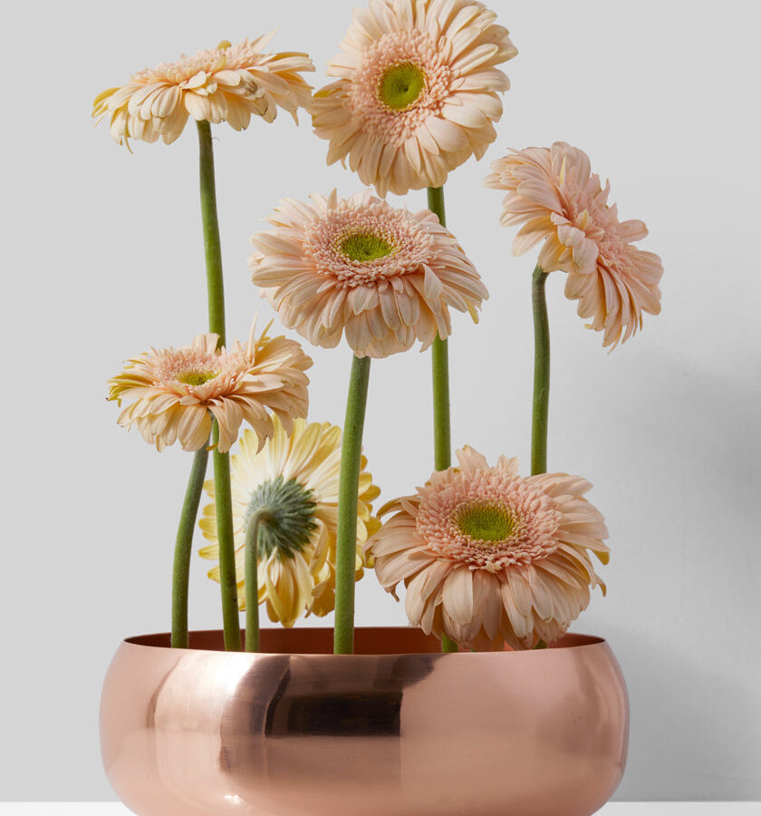 7in Wide Shallow Copper Plated Centerpiece Bowl